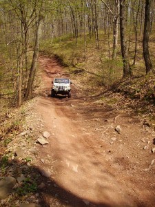 2008-04-26-Green-Ridge-Trail-Ride 001  44 