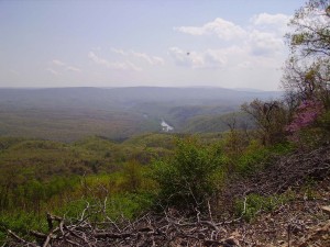 2008-04-26-Green-Ridge-Trail-Ride 001  47 