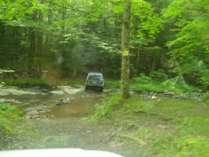 Potomac State Forest 0013