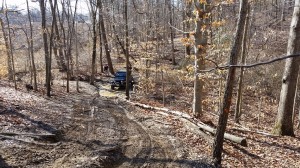 20150315_110947 