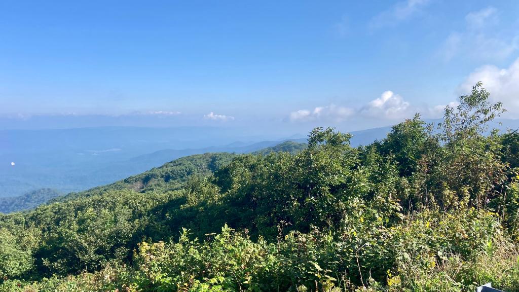 George Washington National Forest - IMG 9967 