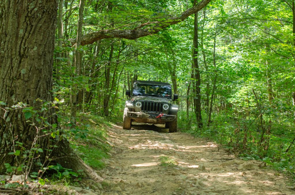 Wolf Den Run – The Graves! | Capital Off Road Enthusiasts, Inc.