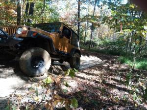 IMG 20250913 111039 3