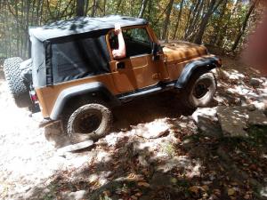 IMG 20250913 113754 5