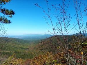 IMG 20251004 143725 5