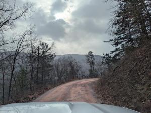 PXL 20251128 152028809