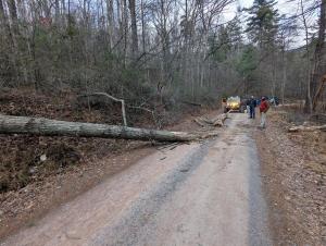 PXL 20251128 160849917