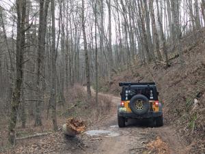 PXL 20251128 163310734