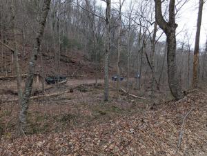 PXL 20251128 165453754