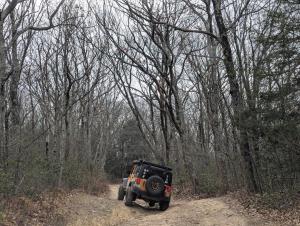 PXL 20251128 172323616