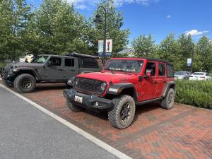 IMG 4269
