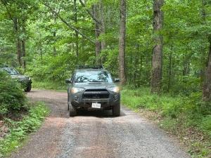 IMG 4878